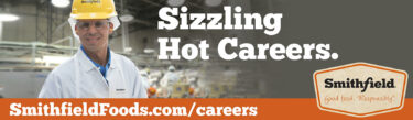 sizzling hot careers
